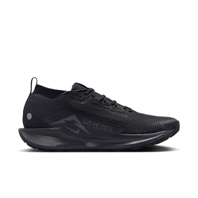 NIKE公式】ナイキ ペガサス トレイル 5 GORE-TEX メンズ 防水 トレイル
